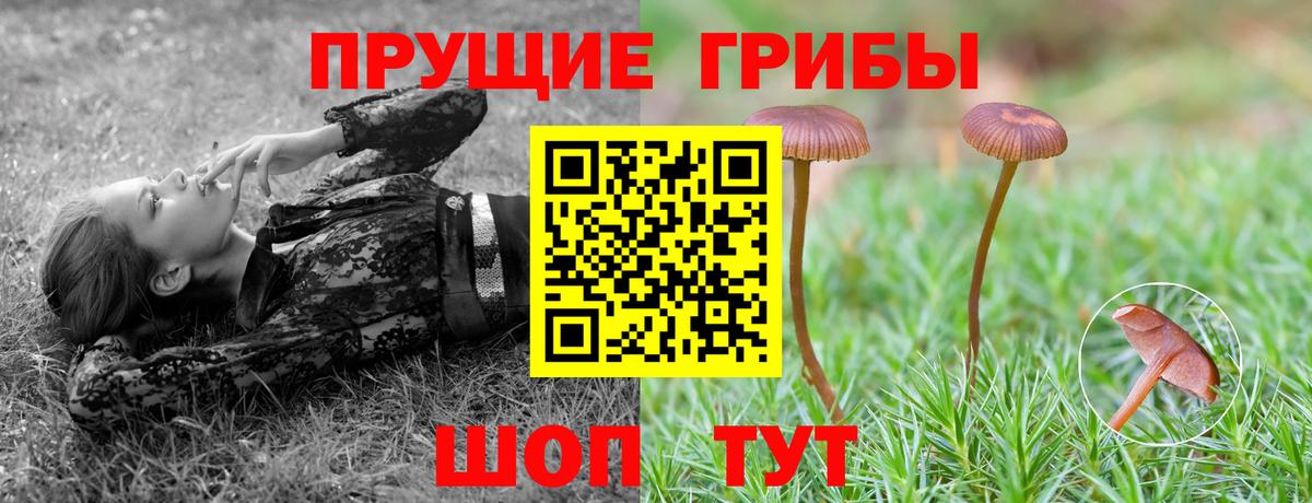 Псилоцибиновые грибы Magic Shrooms  Вход с VPN  Елизово 